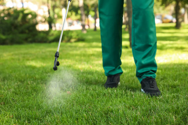 Best Local Pest Control Services  in Highland Park, IL