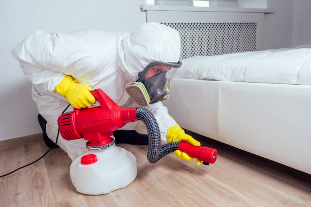 Best Affordable Pest Control Services  in Highland Park, IL