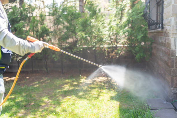Best Bed Bug Extermination  in Highland Park, IL