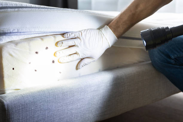 Highland Park, IL Pest Control Company