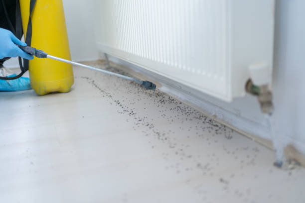 Best Exterminator Services  in Highland Park, IL