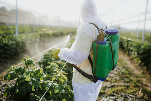 Best Best Pest Control Companies  in Highland Park, IL